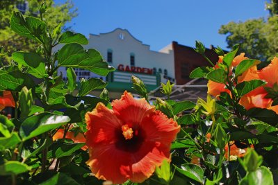 Garden Theatre, through the garden